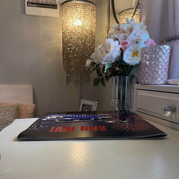 🎸2013 Original Bon Jovi “Because We Can” Concert Tour Program.🎸 - Picture 10 of 11